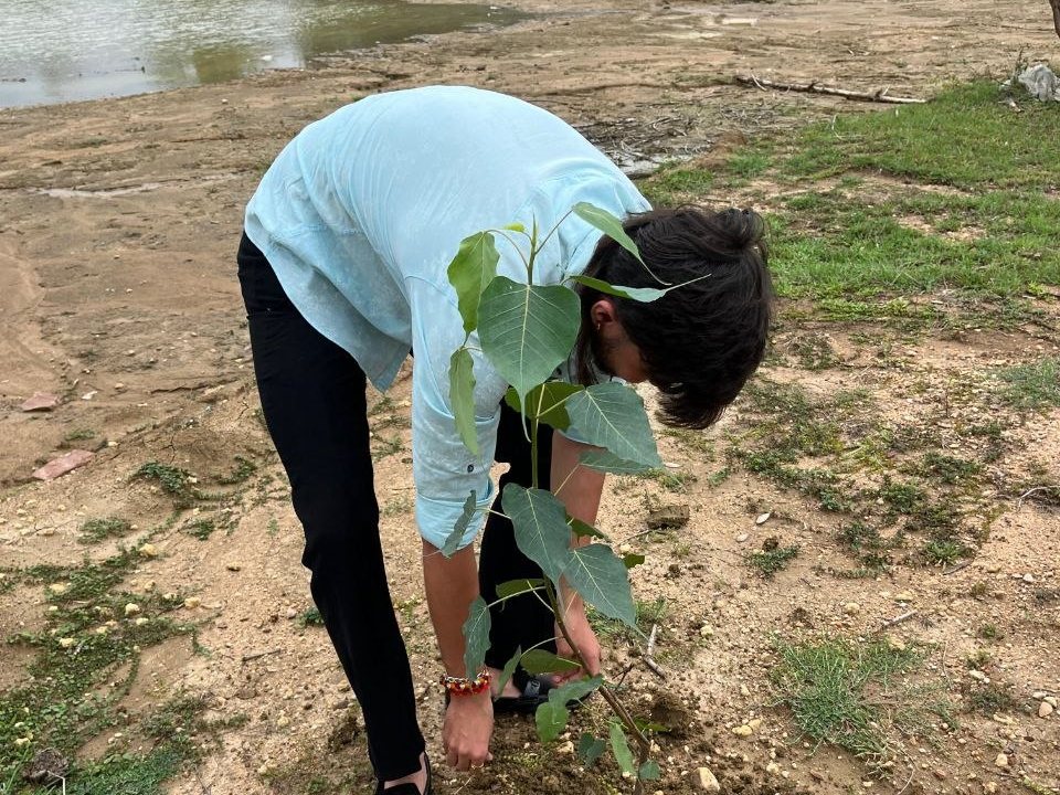 Greener streets, cleaner rivers